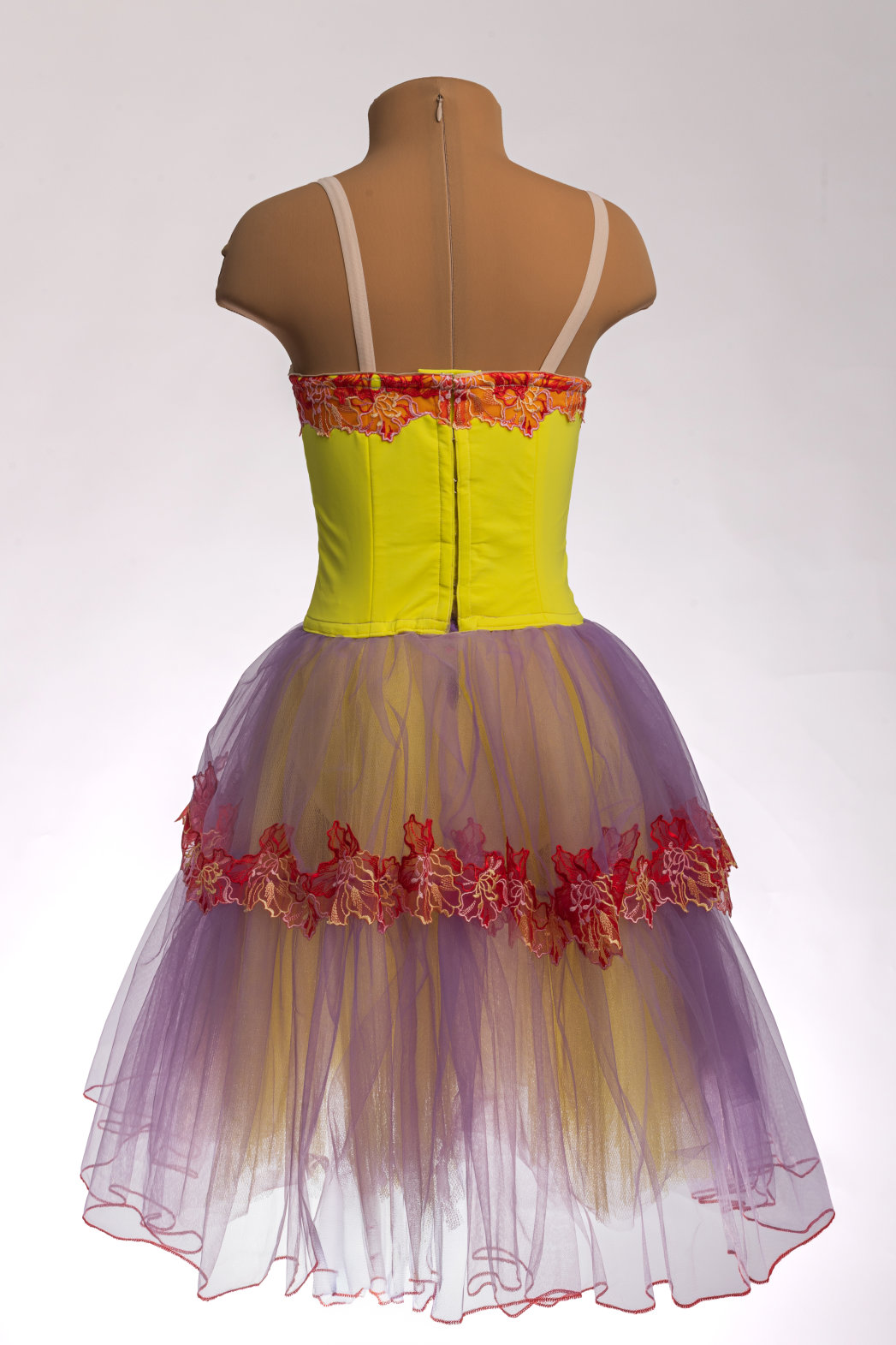 Lemon Bird - Image 3